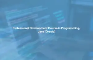 Proffesional development Course